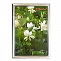 Фоторамка 30x30 ECO